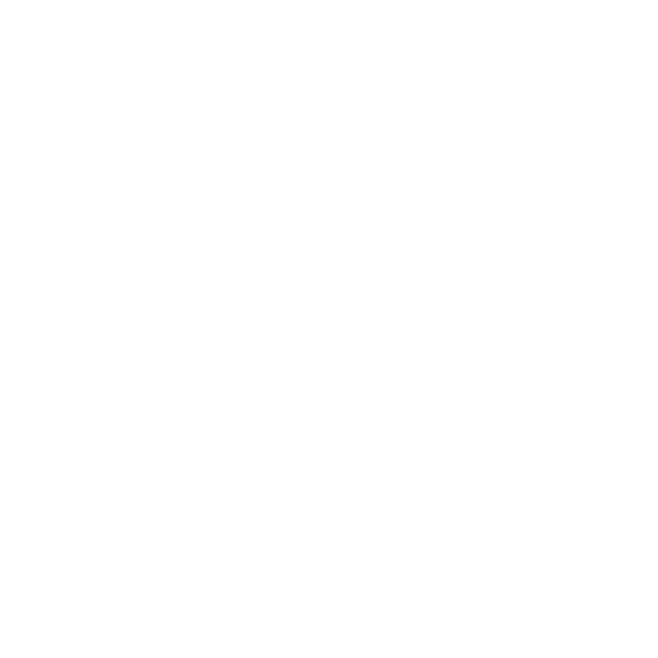 icon-white-implant-supported-bridge